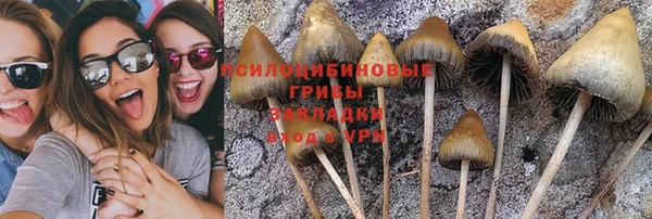 соль курить ск Алексин