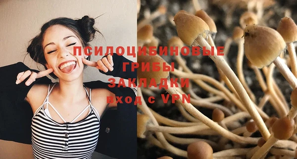 соль курить ск Алексин