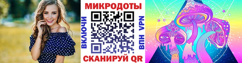Галлюциногенные грибы Cubensis Котельники